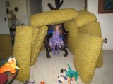 IMG_4431