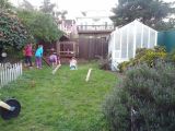 IMG_20120204_172209_3