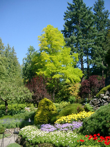 IMGP0963