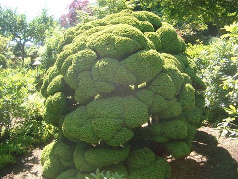 IMGP0972