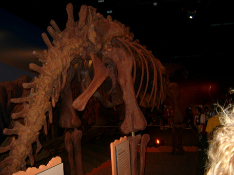IMGP0978
