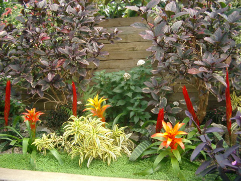 IMGP0986