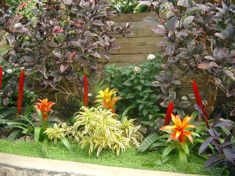 IMGP0987