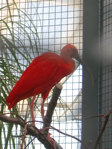 IMGP0998