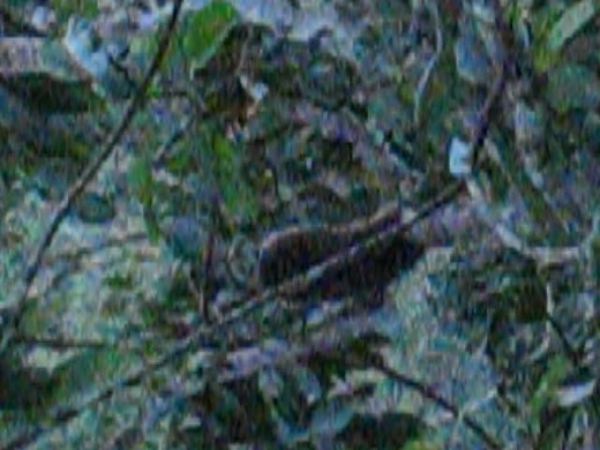 MVI_1603