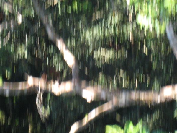 IMG_1611