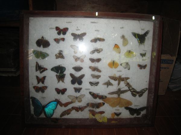 IMG_1621