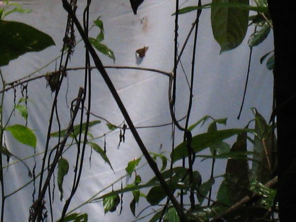 IMG_1675