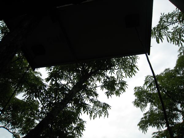 IMG_1479
