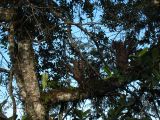 IMG_1534