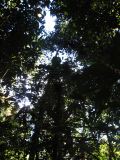 IMG_1570