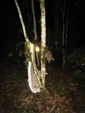 IMG_1591