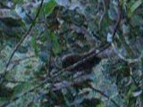 MVI_1603