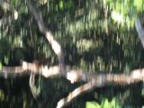 IMG_1611