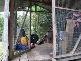 IMG_1644