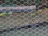 IMG_1647