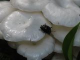 IMG_1680