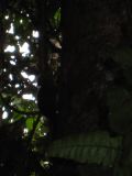 IMG_1687