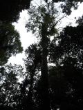 IMG_1694