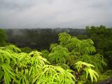 IMG_1450