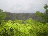 IMG_1452