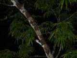 IMG_1457