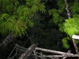 IMG_1459