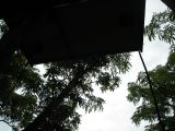IMG_1479