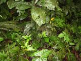 IMG_1498