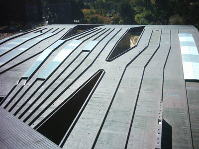 deyoung_roof