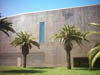 deyoung_outside_palms