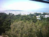 view_from_deyoung