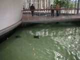 IMG_1912