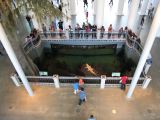 IMG_1973