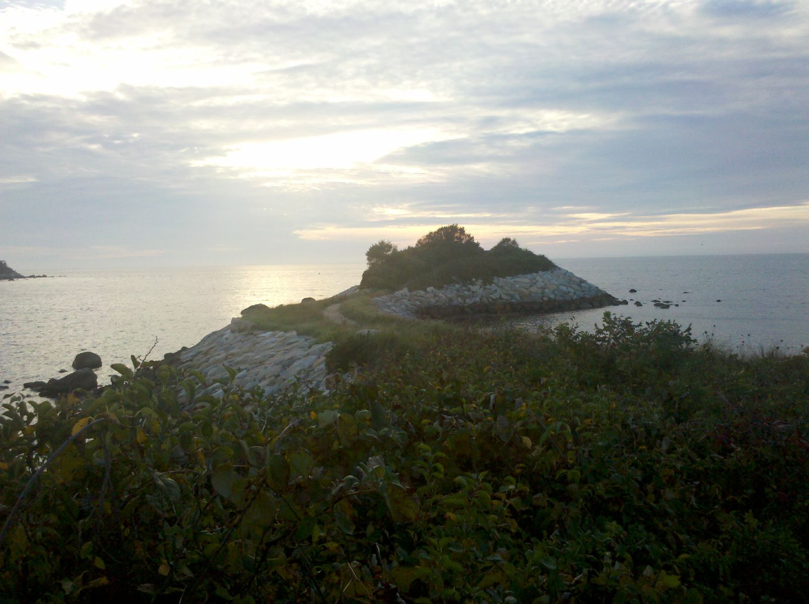 IMG_20100929_175431