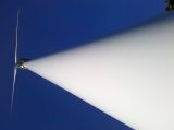 IMG_20100929_171825
