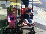 IMG_20110130_100504