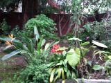 IMG_20110418_162829