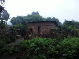 IMG_20110622_103320