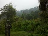 IMG_20110623_095823
