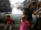 IMG_20110704_131226