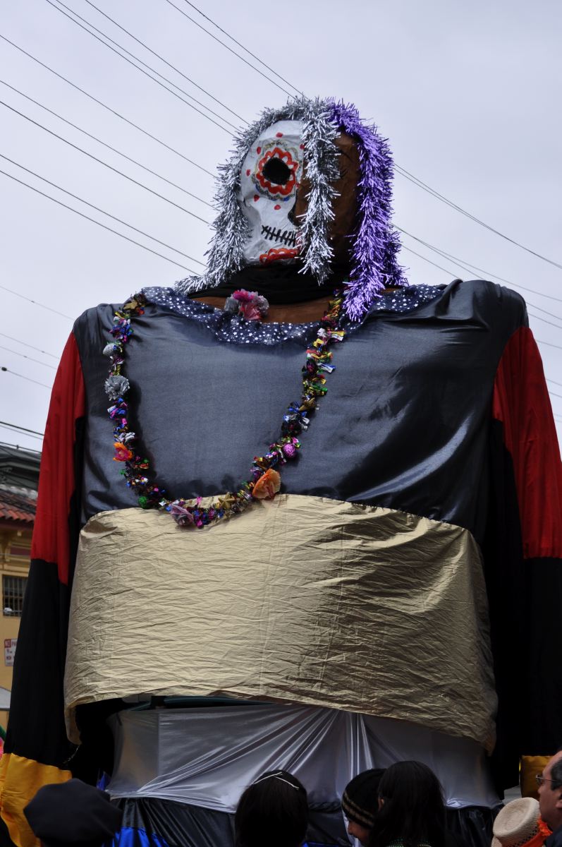 DSC_5003