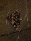 IMG_20120616_222511