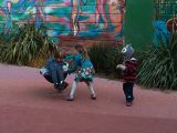 IMG_20130216_154029