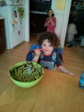 IMG_20130316_161524