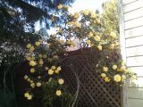 IMG_20130501_132853