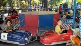 IMG_20130818_113105_965