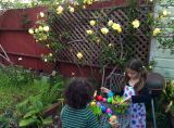 IMG_20140420_084701