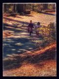 IMG_20140809_102402-EFFECTS