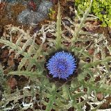 IMG_20140924_122354